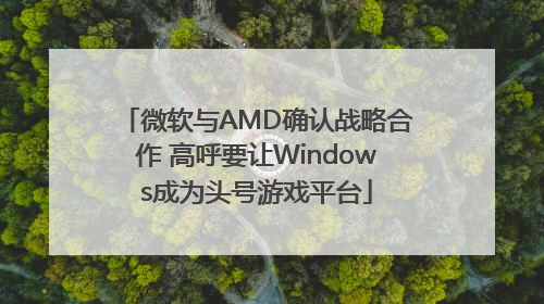 微软与AMD确认战略合作 高呼要让Windows成为头号游戏平台
