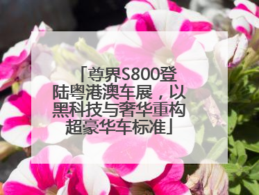 尊界S800登陆粤港澳车展，以黑科技与奢华重构超豪华车标准