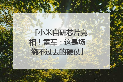 小米自研芯片亮相！雷军：这是场绕不过去的硬仗