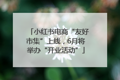 小红书电商“友好市集”上线，6月将举办“开业活动”