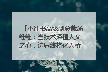 小红书高级副总裁汤维维：当技术深植人文之心，边界终将化为桥梁｜聚焦2025文化强国建设高峰论坛