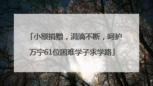 小额捐赠，涓滴不断，呵护万宁61位困难学子求学路