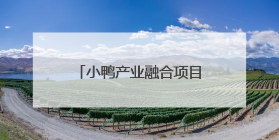 小鸭产业融合项目：通过“厂区改造+产业置换”，盘活存量，增值增效