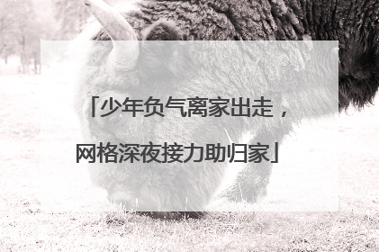 少年负气离家出走，网格深夜接力助归家