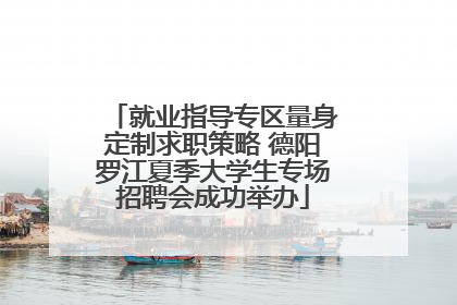 就业指导专区量身定制求职策略 德阳罗江夏季大学生专场招聘会成功举办