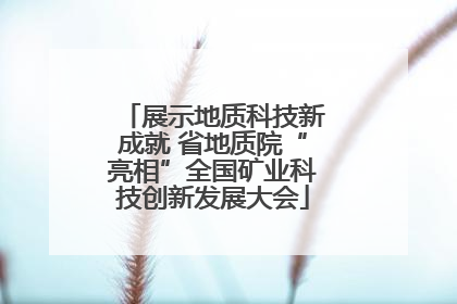 展示地质科技新成就 省地质院“亮相”全国矿业科技创新发展大会