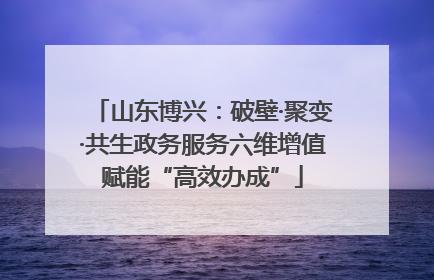 山东博兴：破壁·聚变·共生政务服务六维增值赋能“高效办成”