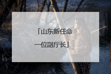 山东新任命一位副厅长