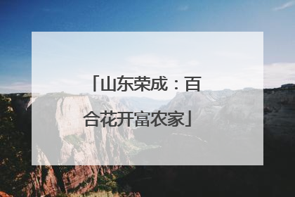 山东荣成：百合花开富农家