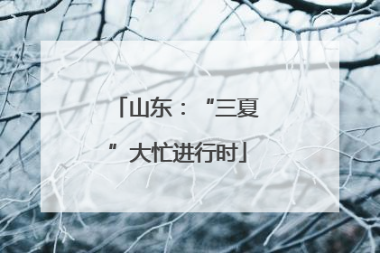 山东：“三夏”大忙进行时