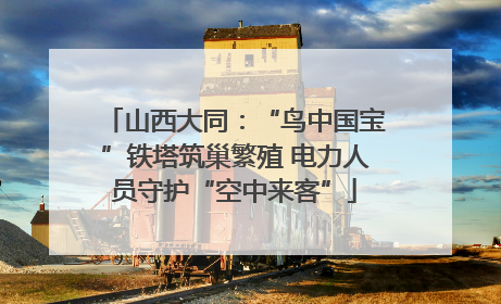 山西大同：“鸟中国宝”铁塔筑巢繁殖 电力人员守护“空中来客”