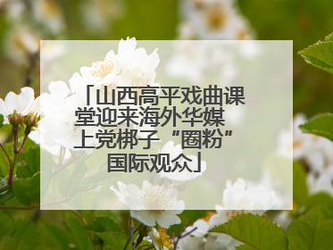 山西高平戏曲课堂迎来海外华媒 上党梆子“圈粉”国际观众