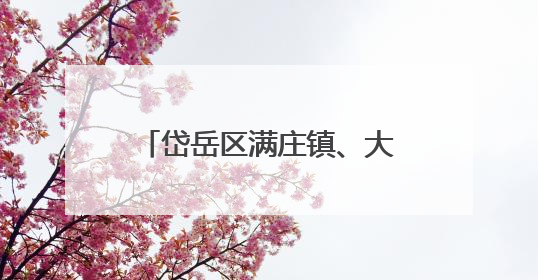 岱岳区满庄镇、大汶口工业园：完善制度、贴心护航、强化监管，打造优质营商“强磁场”