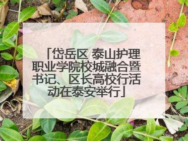 岱岳区 泰山护理职业学院校城融合暨书记、区长高校行活动在泰安举行