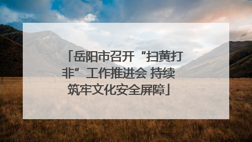 岳阳市召开“扫黄打非”工作推进会 持续筑牢文化安全屏障