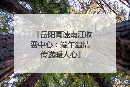 岳阳高速南江收费中心：端午温情传递暖人心