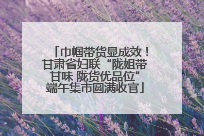 巾帼带货显成效！甘肃省妇联“陇姐带甘味 陇货优品位”端午集市圆满收官