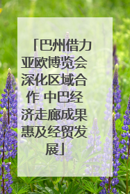 巴州借力亚欧博览会深化区域合作 中巴经济走廊成果惠及经贸发展