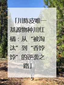 川陈皮唯一基源物种川红橘：从“被淘汰”到“香饽饽”的逆袭之路