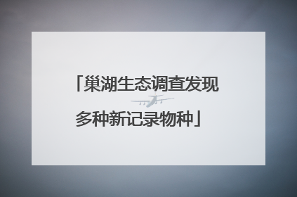 巢湖生态调查发现多种新记录物种