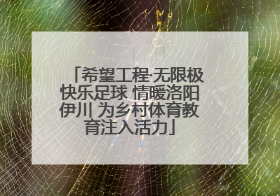 希望工程·无限极快乐足球 情暖洛阳伊川 为乡村体育教育注入活力