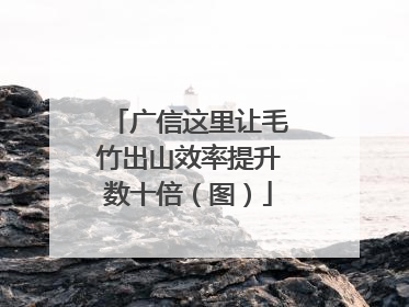 广信这里让毛竹出山效率提升数十倍（图）