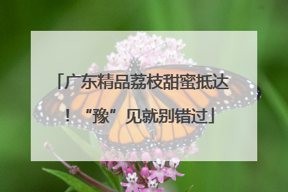 广东精品荔枝甜蜜抵达！“豫”见就别错过