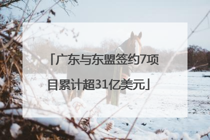 广东与东盟签约7项目累计超31亿美元