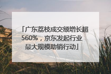 广东荔枝成交额增长超560%，京东发起行业最大规模助销行动