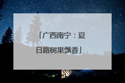 广西南宁：夏日路树果飘香