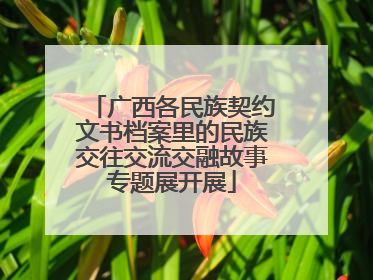 广西各民族契约文书档案里的民族交往交流交融故事专题展开展
