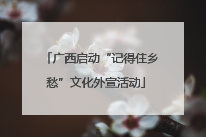 广西启动“记得住乡愁”文化外宣活动
