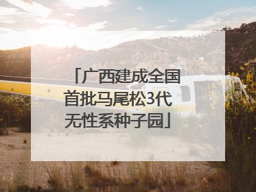 广西建成全国首批马尾松3代无性系种子园