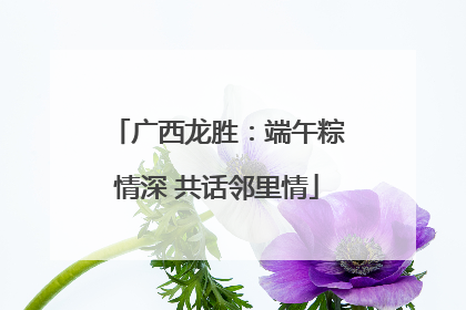 广西龙胜：端午粽情深 共话邻里情