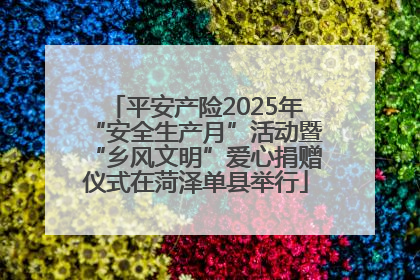 平安产险2025年“安全生产月”活动暨“乡风文明”爱心捐赠仪式在菏泽单县举行