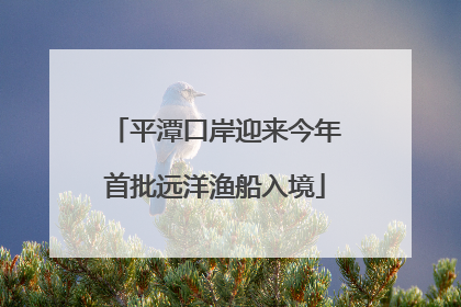 平潭口岸迎来今年首批远洋渔船入境