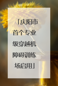 庆阳市首个专业级穿越机障碍训练场启用
