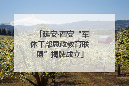 延安·西安“军休干部思政教育联盟”揭牌成立