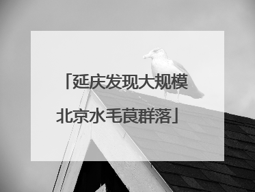 延庆发现大规模北京水毛茛群落