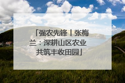 强农先锋丨张梅兰：深耕山区农业 共筑丰收田园