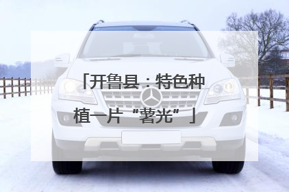 开鲁县:特色种植一片“薯光”