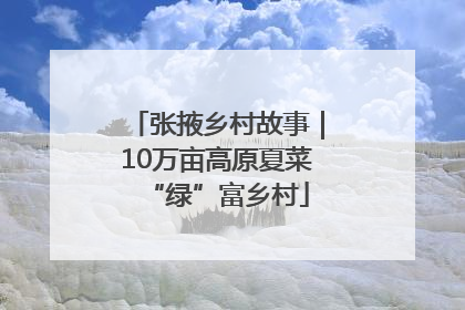 张掖乡村故事｜10万亩高原夏菜“绿”富乡村