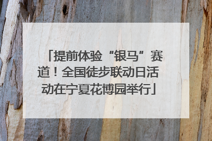 提前体验“银马”赛道！全国徒步联动日活动在宁夏花博园举行