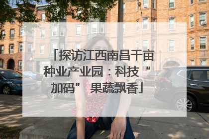 探访江西南昌千亩种业产业园：科技“加码” 果蔬飘香