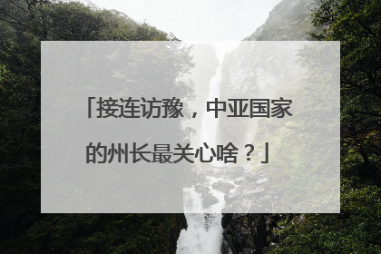 接连访豫，中亚国家的州长最关心啥？
