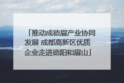 推动成德眉产业协同发展 成都高新区优质企业走进德阳和眉山