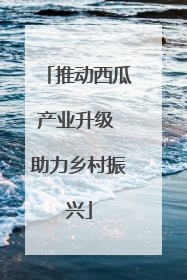 推动西瓜产业升级 助力乡村振兴