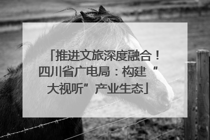 推进文旅深度融合！四川省广电局：构建“大视听”产业生态