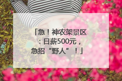急！神农架景区：日薪500元，急招“野人”！
