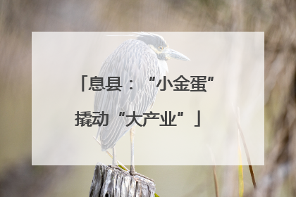 息县：“小金蛋”撬动“大产业”